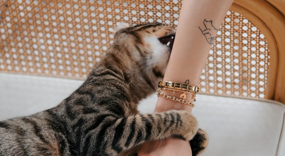 Why does my cat hug my arm and bite me?