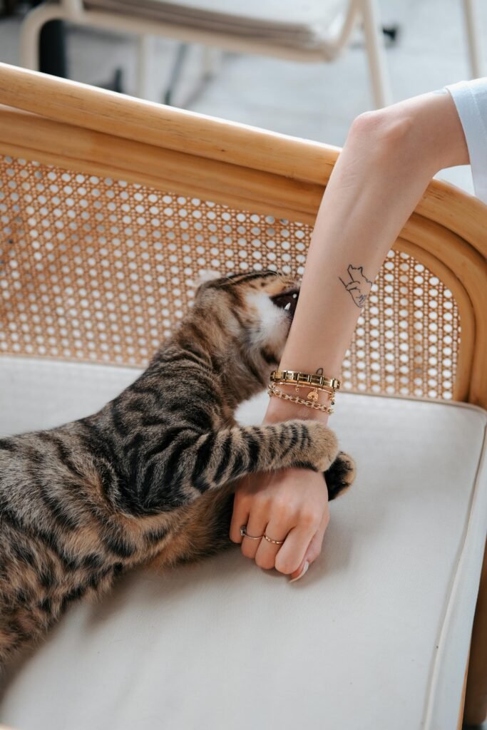 Why does my cat hug my arm and bite me?